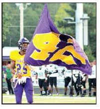 Tigers Lose Desoto Parish Battle to Wolverines