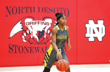 DeSoto Parish Lady Wolverines, Tigers,