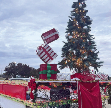 Stonewall 2024 Christmas Parade