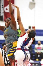 DeSoto Parish Lady Wolverines, Tigers,