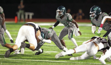Wolverines Fall to #1 Ranked Tigers in District Game
