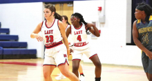DeSoto Parish Lady Wolverines, Tigers,