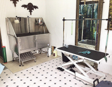 DeSoto Chamber Celebrates the Opening of Jackie’s Pack Dog Grooming