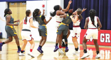 DeSoto Parish Lady Wolverines, Tigers,