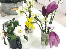 Mansfield Garden Club Holds February Meeting