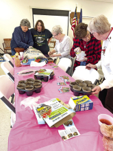 Mansfield Garden Club Holds February Meeting