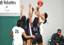 MHS Lady Wolverines Defeat the Carroll Lady Bulldogs in a Sunday Afternoon Playoff Game