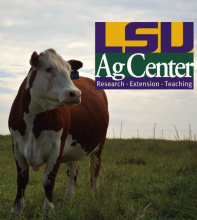 2024 NW Region Master Cattleman Course Set to Begin February 27