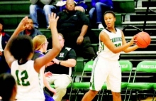 Lady Wolverines vs North Webster