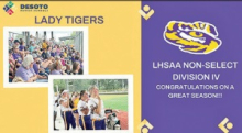 Logansport Lady Tigers Fall Short in Division IV