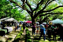 Melrose Plantation Arts and Crafts Festival visitors examine vendorsʼ products displayed under centuries old live oak trees in front of the plantationʼ big house during last yearʼs festival